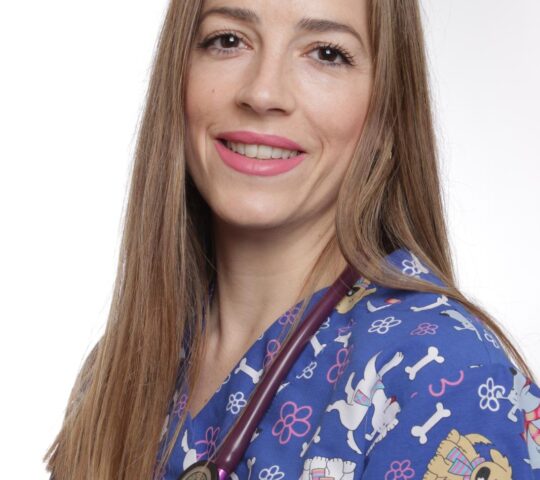 Felisoundcardio@gmail.com