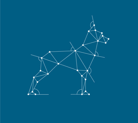 Fisiovet Mallorca Fisiovet Mallorca