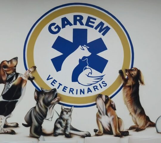 GAREM Veterinarios 24 horas