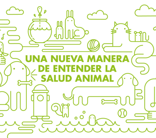 GOOD DOG Animal Health & Care. Veterinary 24 hours