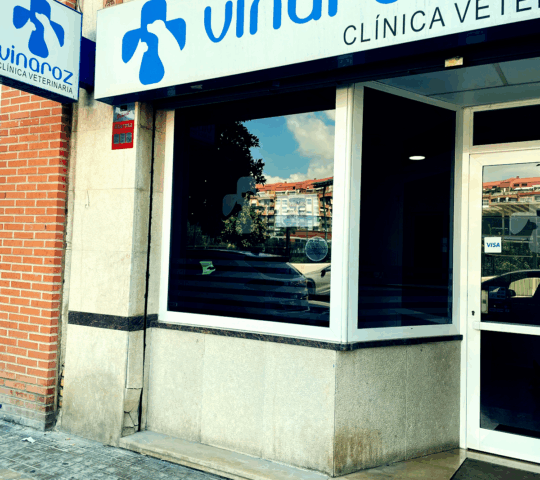 GULLIVET | Clínica Veterinaria en Valencia (Antes Clínica Vinaroz) GULLIVET | Clínica Veterinaria en Valencia (Antes Clínica Vinaroz)
