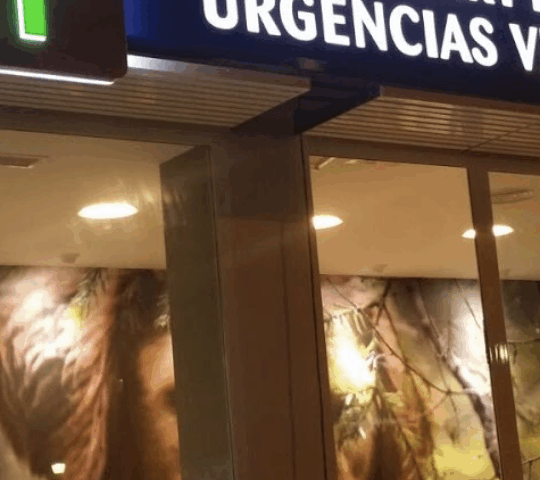 GreenVet Animal Hospital | Veterinario en Marbella GreenVet Animal Hospital | Veterinario en Marbella