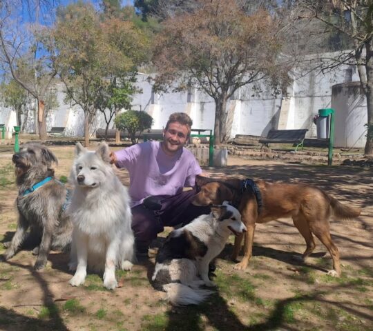 Guardería de Perros y Gatos – Samsara