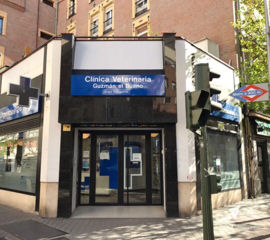 Guzman el Bueno Veterinary Clinic