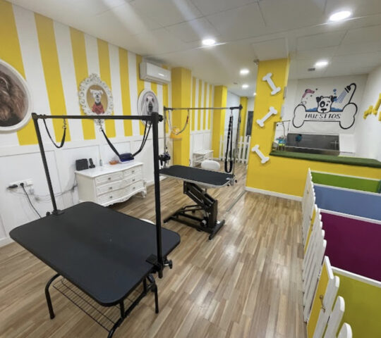 HUESITOS, Centro Canino de Estética