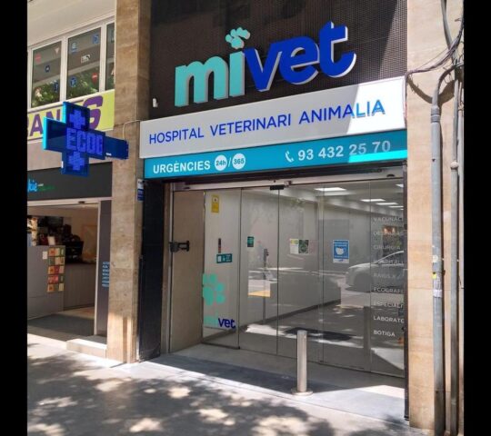 Hospital Veterinari Animalia | MiVet