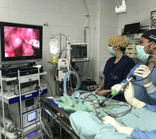 Hospital Veterinari Balmes