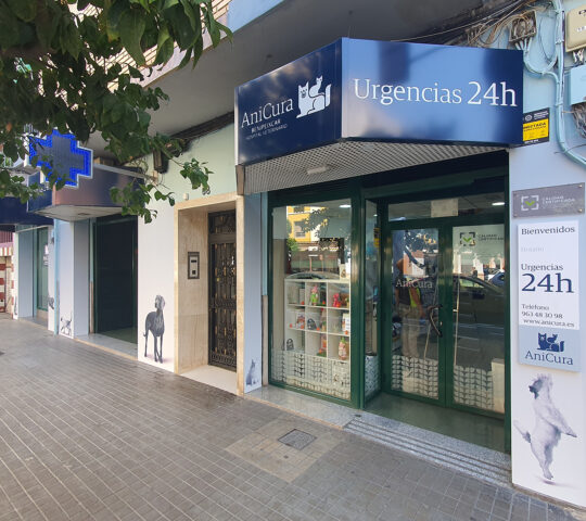 Hospital Veterinari Benipeixcar | Urgències 24h Hospital Veterinari Benipeixcar | Urgències 24h