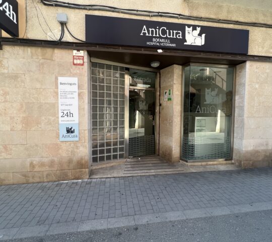 Hospital Veterinari Bofarull