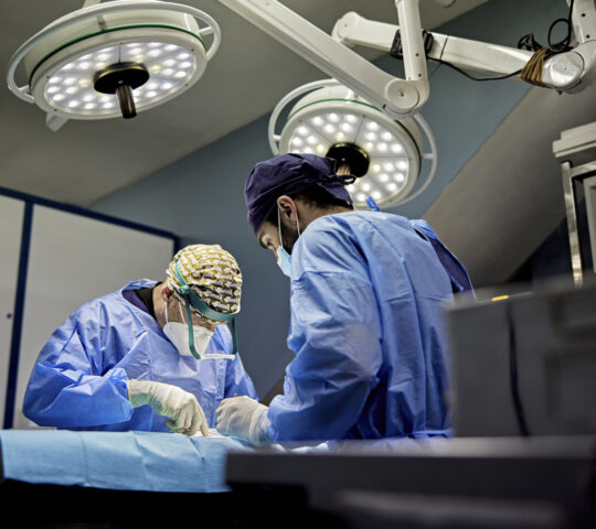 Hospital Veterinari Desvern Hospital Veterinari Desvern