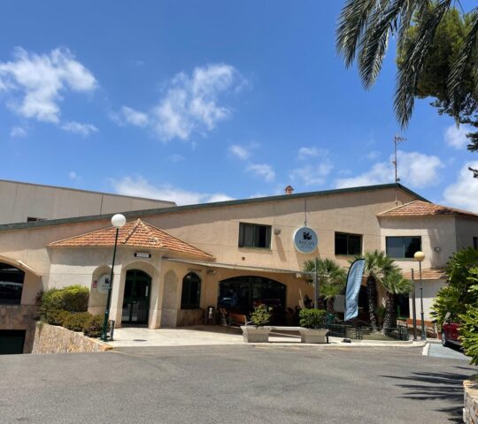 Hospital Veterinari Sant Vicent | Urgències 24h