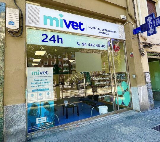 Hospital Veterinario Avenida | MiVet