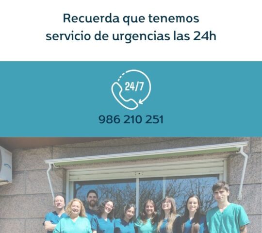 Hospital Veterinario Beade