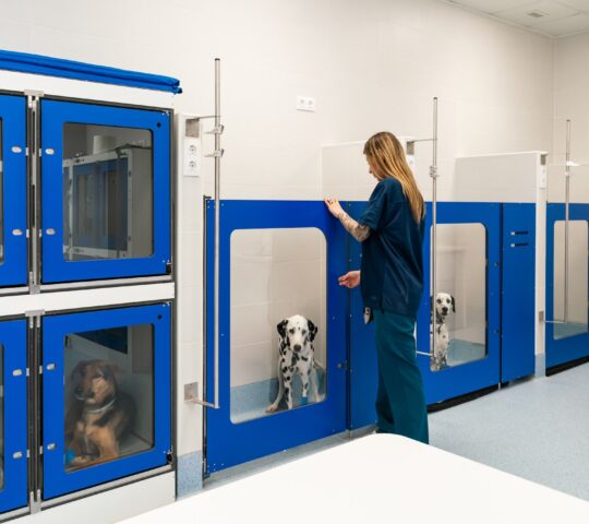 Hospital Veterinario Madrid Centro