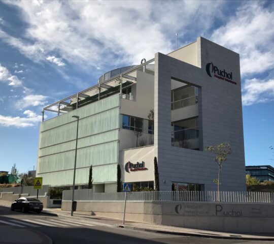 Hospital Veterinario Puchol Urgencias 24 horas Hospital Veterinario Puchol Urgencias 24 horas