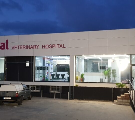 Hospital Veterinario Royalvet (Fuengirola-Mijas) Hospital Veterinario Royalvet (Fuengirola-Mijas)