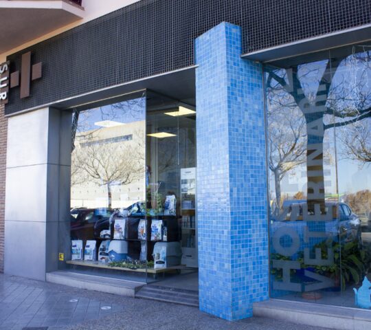 Hospital Veterinario Sur