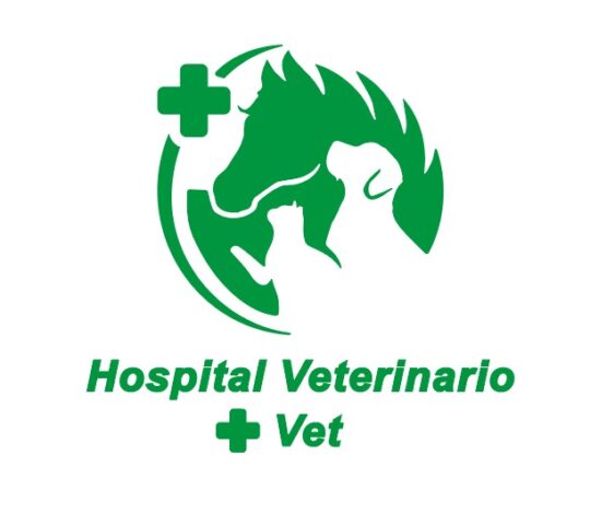 Hospital Veterinario +Vet