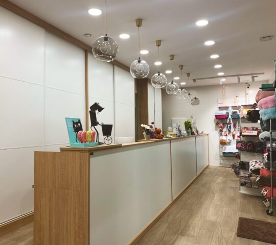 Hospital Veterinario Vetoven | Fisioterapia y Rehabilitación Veterinaria en Valladolid