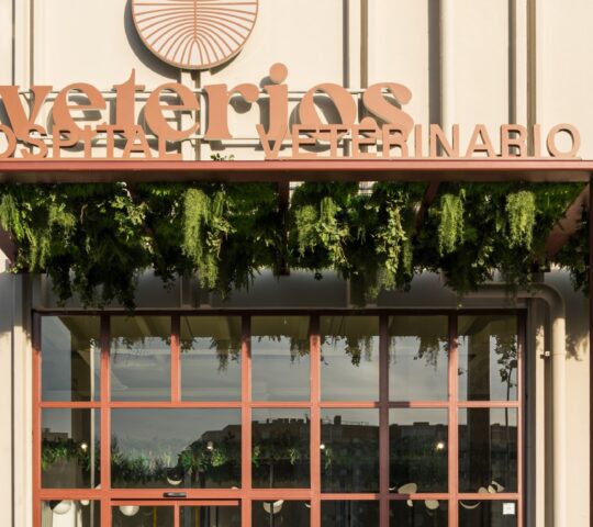 Hospital Veterinario de Referencia Veterios