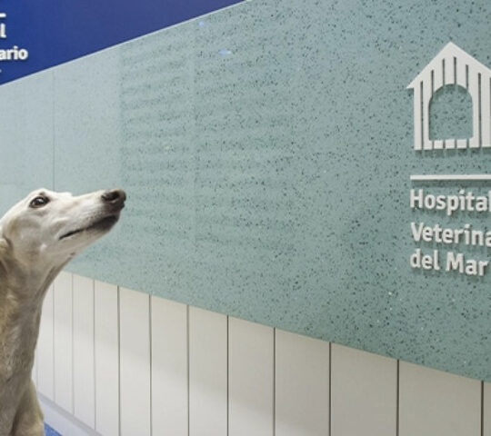 Hospital Veterinario del Mar