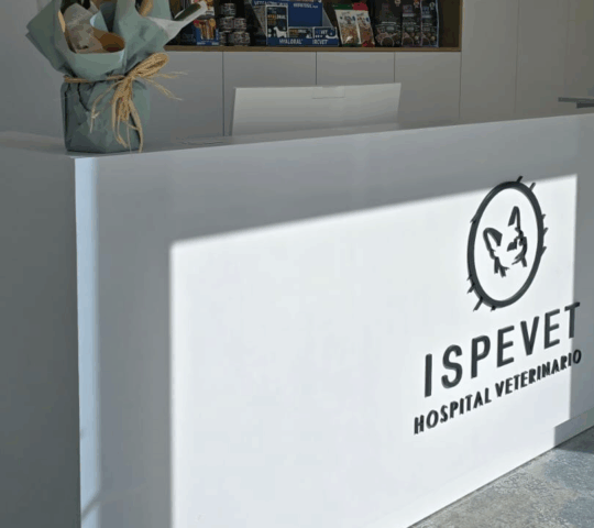 Hospital veterinario Ispevet 24h