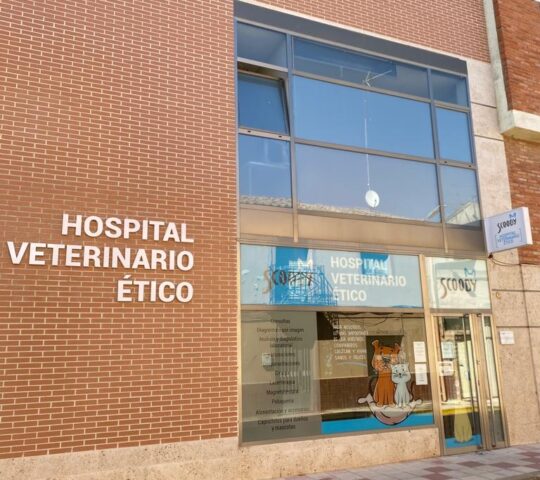 Hospital veterinario Scooby