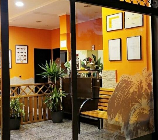 Inma Allende Peluquería Canina