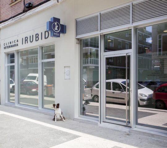 Irubide Albaitaritza Klinika Irubide Albaitaritza Klinika