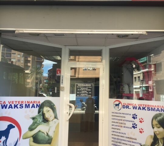 Jornada Esterilización en perros y gatos Valencia