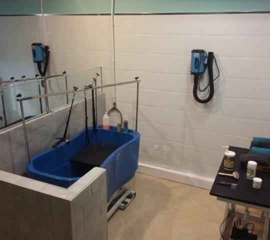 Kiandu y Uma la pelu canina del nuevo parque