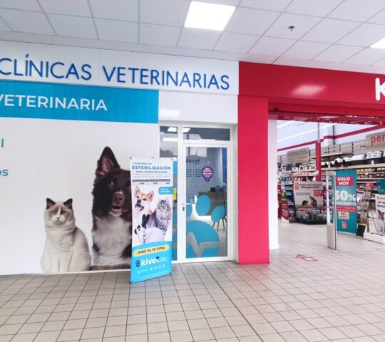 Kivet Clínicas Veterinarias Kivet Clínicas Veterinarias