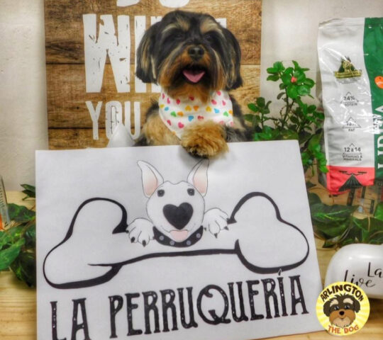 LA PERRUQUERIA MONA – Peluquería canina y felina