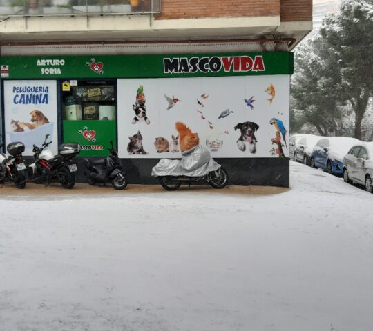 La Caseta Pet Shop | Veterinaria y Peluquería