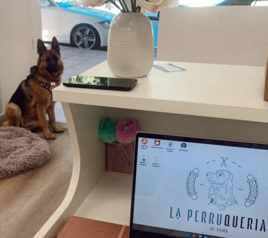 La Perruqueria de Dama