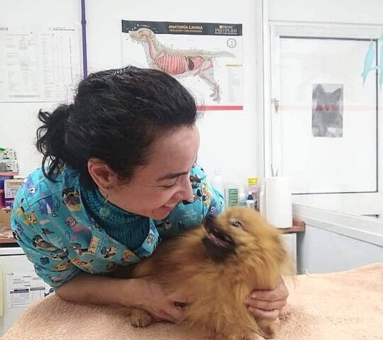 LaVida Vet. Consulta Veterinaria Especialista en Pequeños Animales y Exóticos