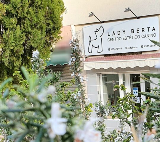Lady Berta