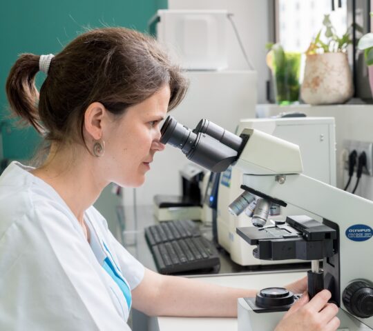 Les Corts Clínica Veterinària