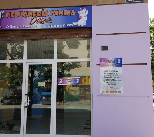 MASCOTAS DIANA MASCOTAS DIANA