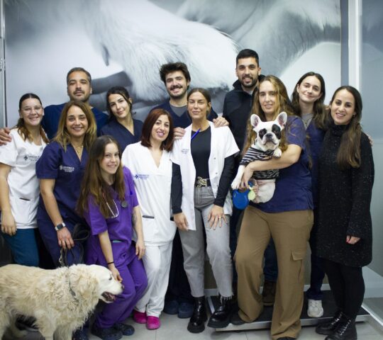 Malaga Veterinary Emergency Center (URVEMACE)