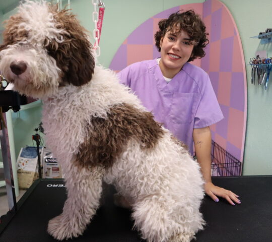 Marina Vázquez Perruquería i Benestar Animal