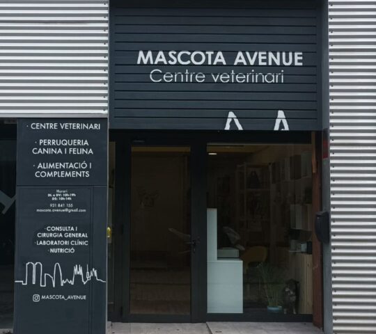 Mascota Avenue – Centro Veterinario y Peluqueria Canina/Felina Poblenou Mascota Avenue – Centro Veterinario y Peluqueria Canina/Felina Poblenou