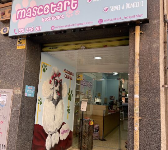 Mascotart hospitalet