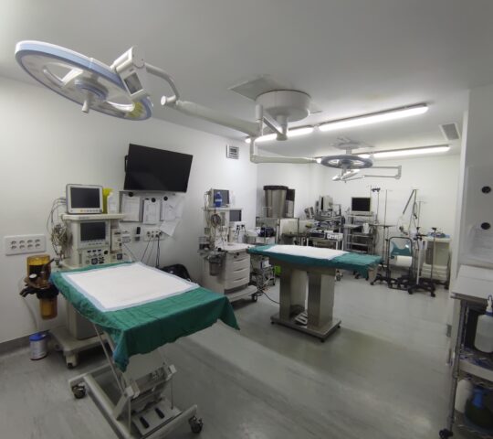 Medivet Sur Vallecas