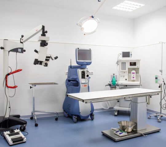 Memvet – Centre de referència veterinària