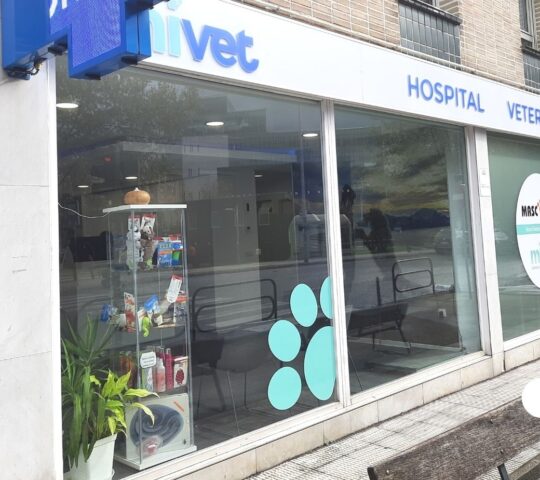 MiVet Hospital Veterinario Mascosan