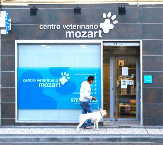 Mozart Veterinary Center