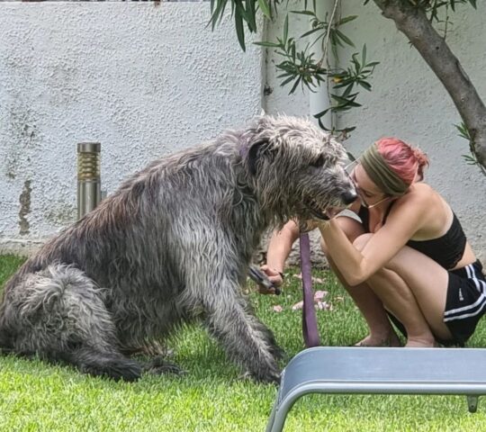 Natalia Torres Grooming