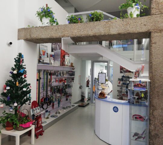 OCÉANO Clínica Veterinaria