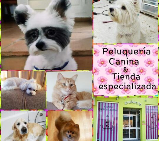 PELUQUERÍA CANINA ZOOKINTO PELUQUERÍA CANINA ZOOKINTO